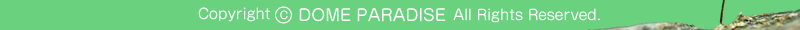 Copyright 2011 DOME PARADISE Co.,Ltd. All rights reserved.